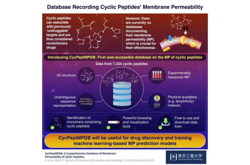 CycPeptMPDB: A database aimed at promoting drug design using cyclic peptides