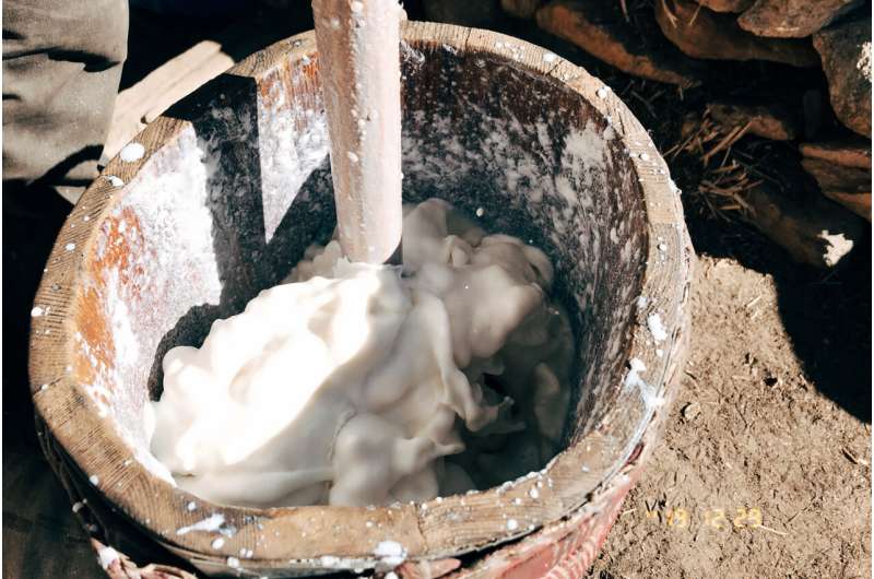 Dairy foods helped ancient Tibetans thrive in one of Earth's most inhospitable environments
