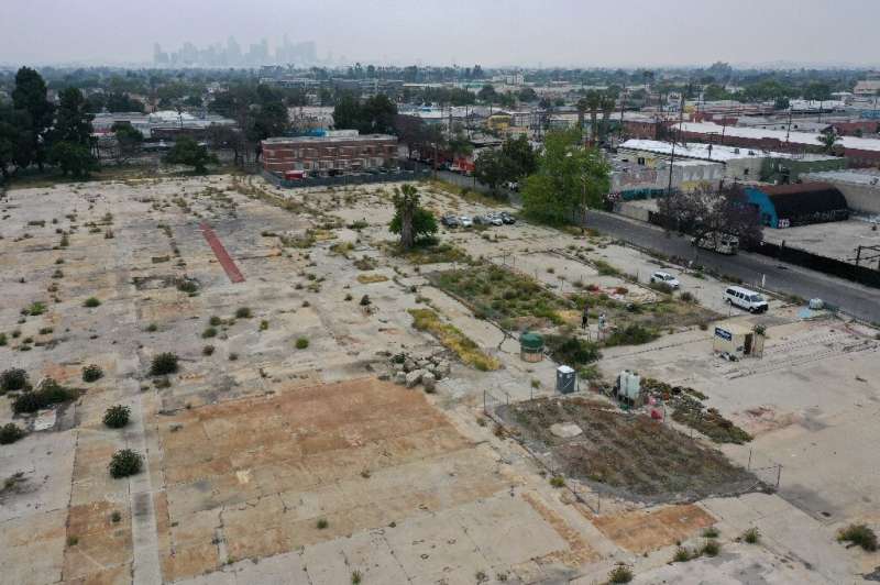 Danielle Stevenson's bioremediation project is being carried out on three sites in and around Los Angeles
