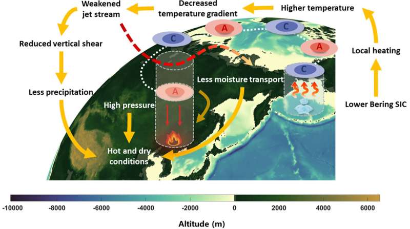 Declining Bering Sea ice increasing wildfire hazard in northeast China