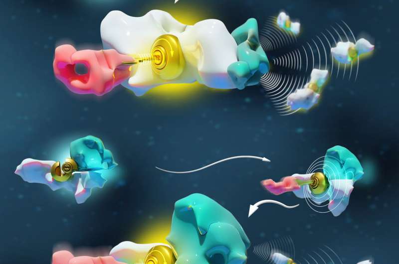 Decoding how molecules &quot;talk&quot; to each other to develop new nanotechnologies