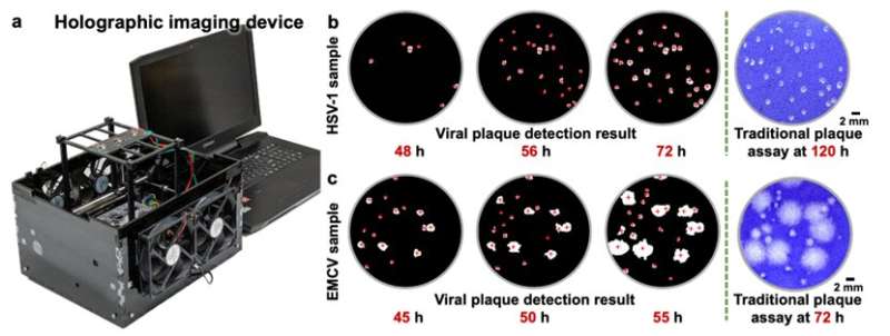 Deep learning and holographic imaging accelerate the detection and quantification of viral plaques.