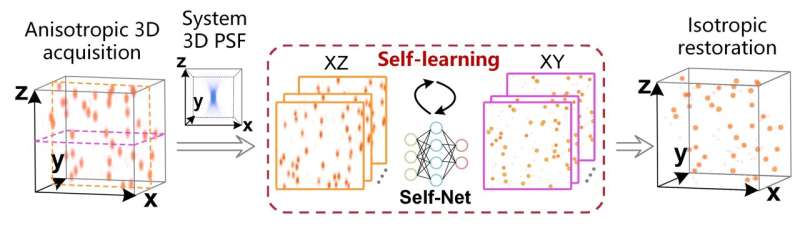 Deep self-learning enables volumetric microscopy with 3D isotropic resolution