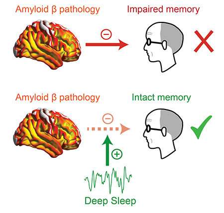 Deep sleep may mitigate Alzheimer's memory loss, research shows
