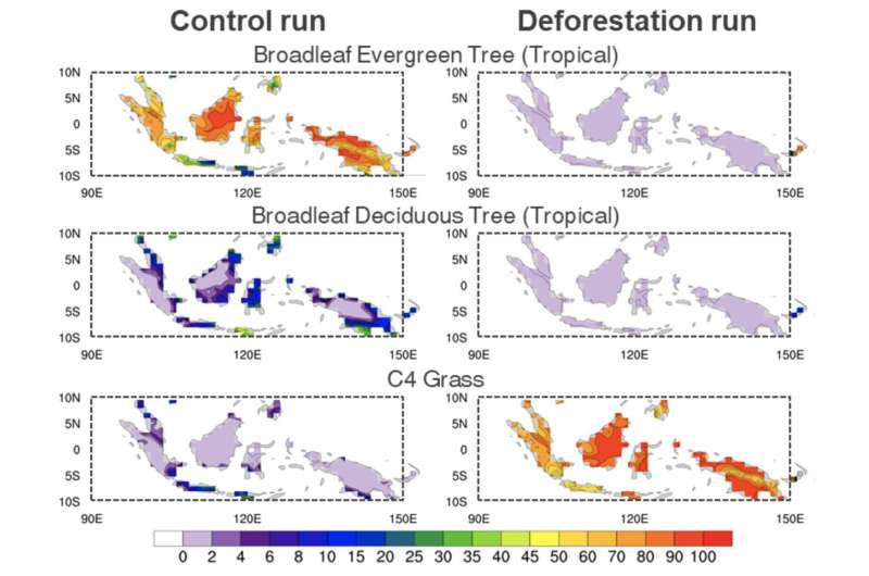 La déforestation sur le « continent maritime » rend l’oscillation australe El Niño plus imprévisible