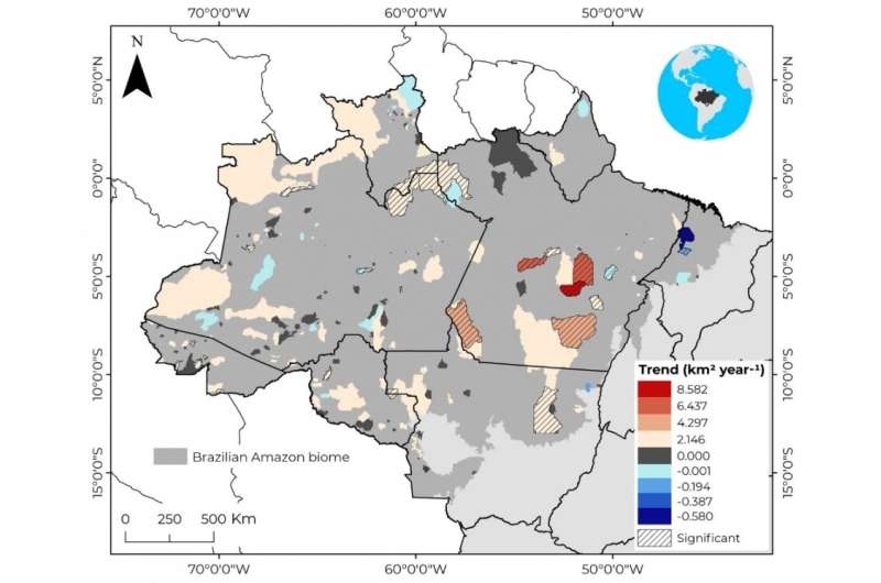 Deforestation in Brazilian Amazon caused emission of 90 million metric tons of CO2 in 2013–21, reports study