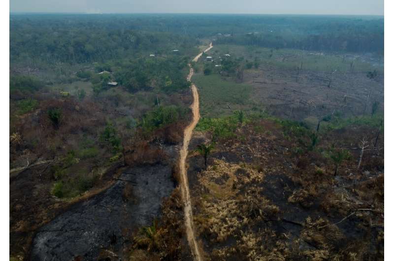 Deforestation in the Brazilian Amazon fell by 22.3% in the twelve months to July, the best result in four years, the government of President Luiz Inacio Lula da Silva reported on November 9, 2023