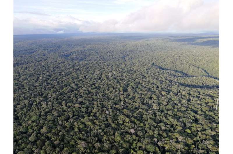 Deforestation in the tropics linked to a reduction in rainfall