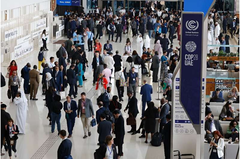 Delegates at the COP28 United Nations climate summit in Dubai