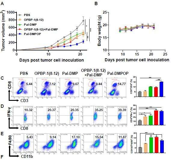 Design of a novel chimeric peptide via dual blockade of CD47/SIRPα and PD-1/PD-L1 for cancer immunotherapy