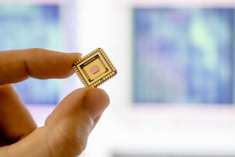 Detecting manipulations in microchips