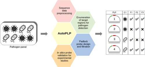 Detecting rapidly mutating bacteria and viruses with AutoPLP