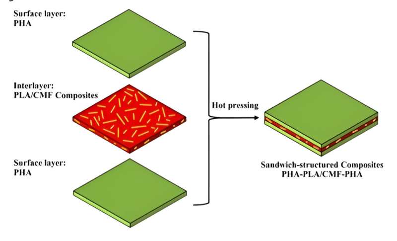 Developing a novel sandwich-structured composite from biopolymers for building envelope applications