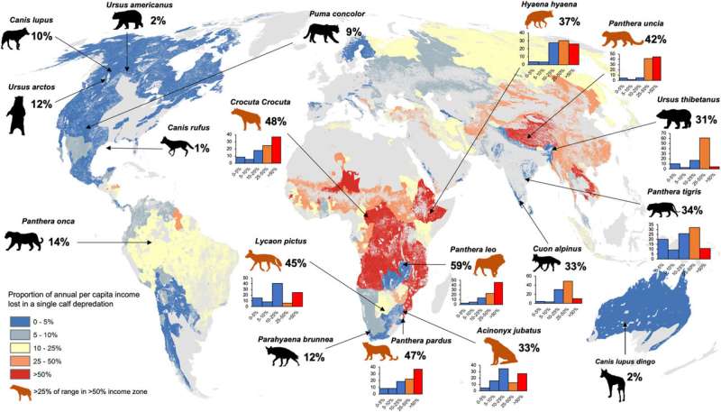 Developing countries pay the highest price for living with large carnivores