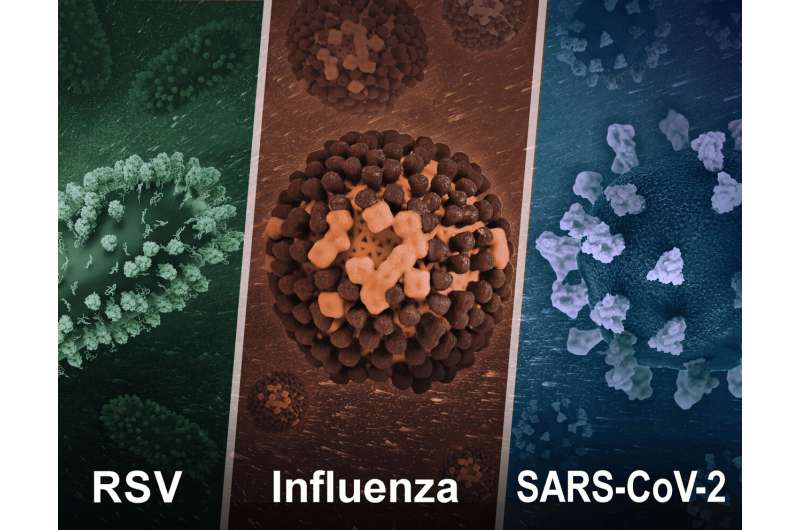 Developing mucosal vaccines for respiratory viruses