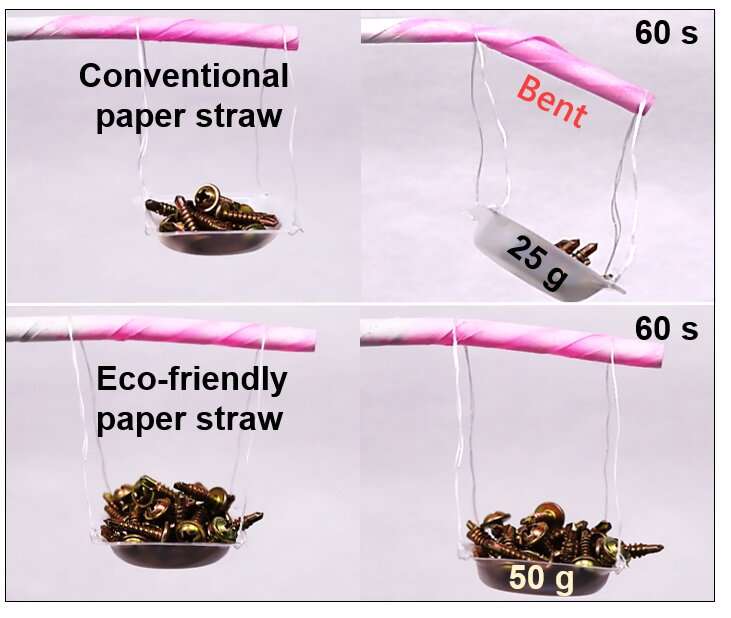 Development of 100% biodegradable paper straws that do not become soggy