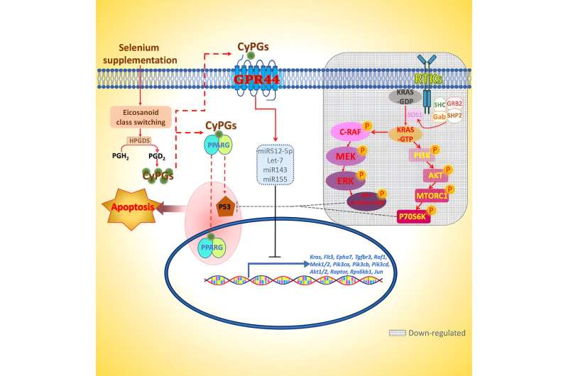 Dietary selenium may help fight acute myeloid leukemia, researchers report