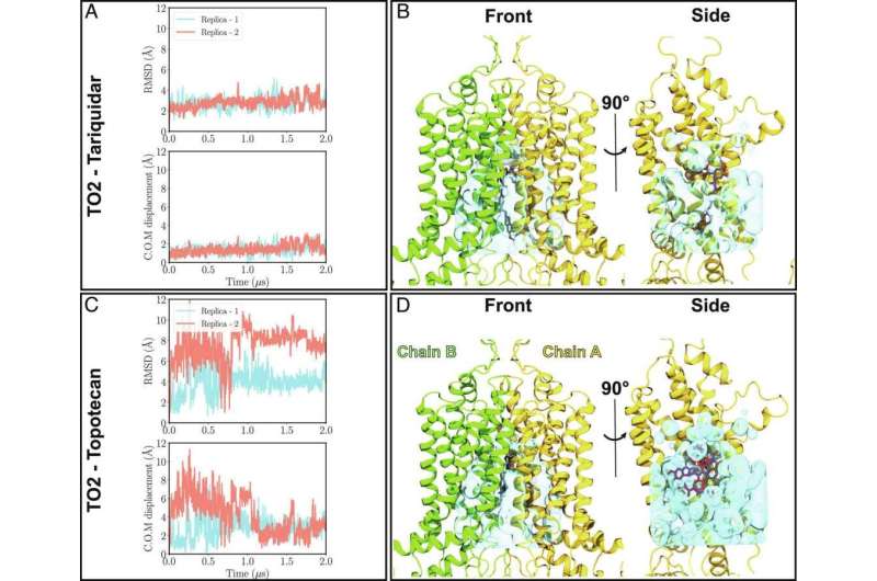 Differential dynamics and direct interaction of bound ligands with lipids in multidrug transporter ABCG2