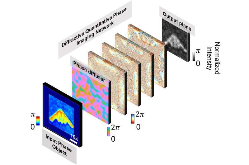 Diffractive networks enable quantitative phase imaging (QPI) through random diffusers