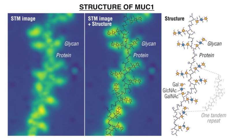 Direct imaging of sequences and locations of glycans bound to biomolecules at a single-molecule level