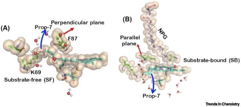 Ontdekking in nanomachines in levende organismen - cytochromen P450 (CYP450s) ontketend als levende zachte robots