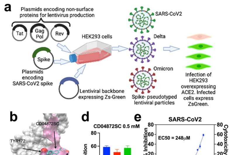Discovery of drug candidate that neutralizes SARS-coV-2 could reduce length of infection upon exposure