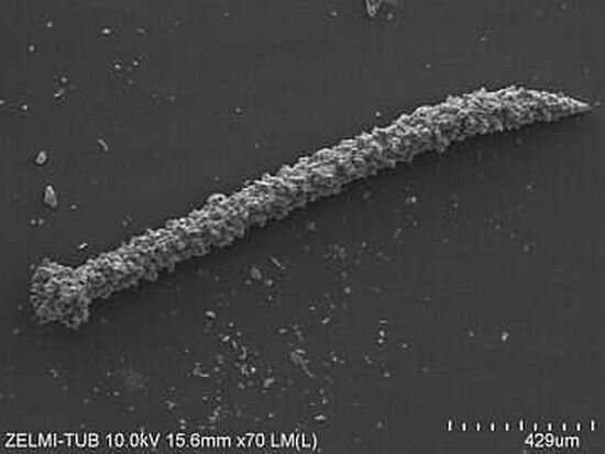 Discovery of oldest 3D-preserved microorganisms