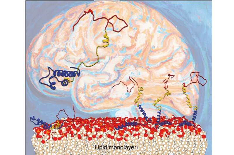 Discovery of protein orientation helps scientists understand Parkinson's disease