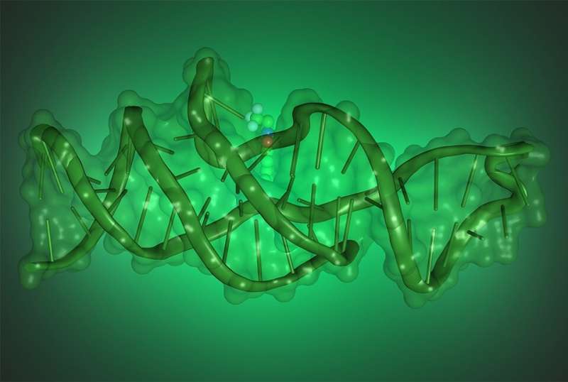 DNA can fold into complex shapes to execute new functions