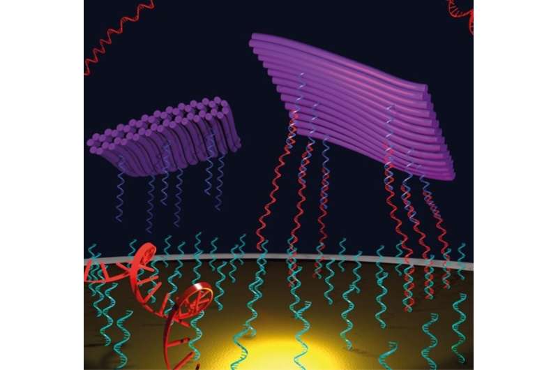 DNA origami boosts electrochemical biosensor performance