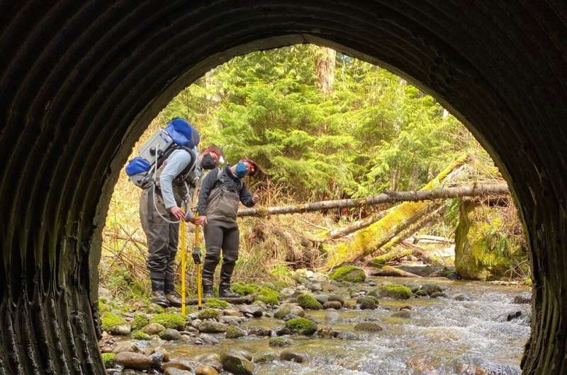 DNA shows where Washington culvert replacements helped spawning salmon