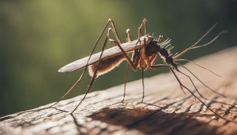 Do these seven things really stop mosquitoes biting you?