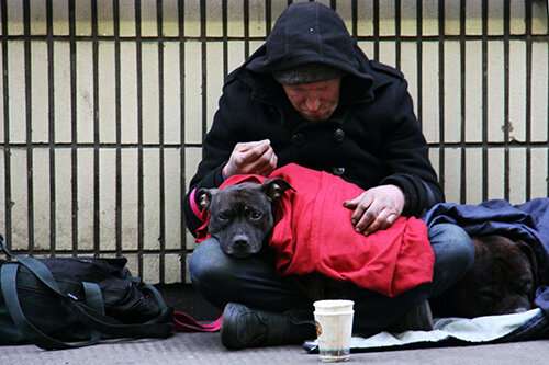 Dogs provide critical support for homeless people, study finds