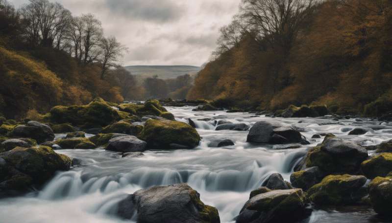 Don't just wait for the water firms—three things we can do right now to clean up Britain's rivers