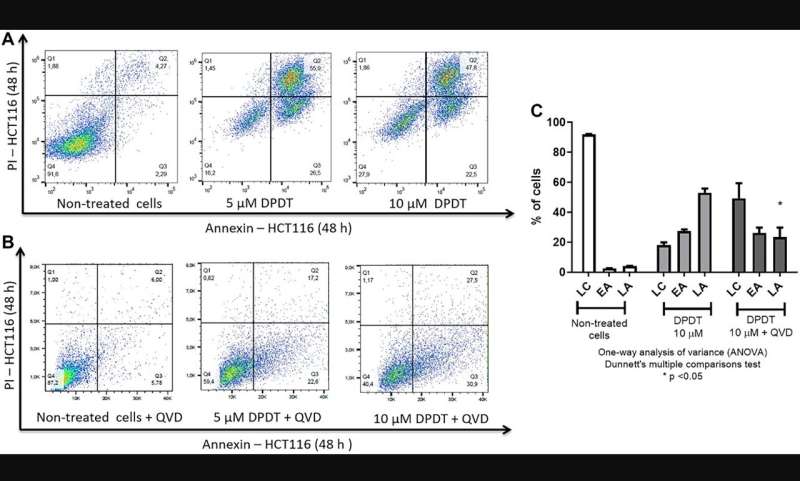 DPDT anticancer activity in human colon cancer HCT116 cells