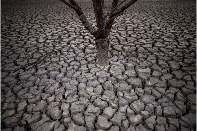 Drought-struck Barcelona quenches thirst with costly desalination