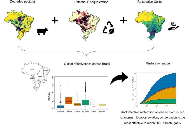 Dry forests and savannas vital for Brazil's climate goals