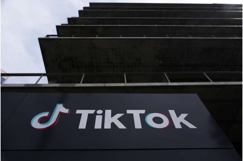Dutch gov't staff discouraged from apps such as TikTok