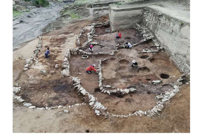 Les premières preuves de l'existence d'un yak domestique trouvées grâce à l'archéologie et à l'ADN ancien