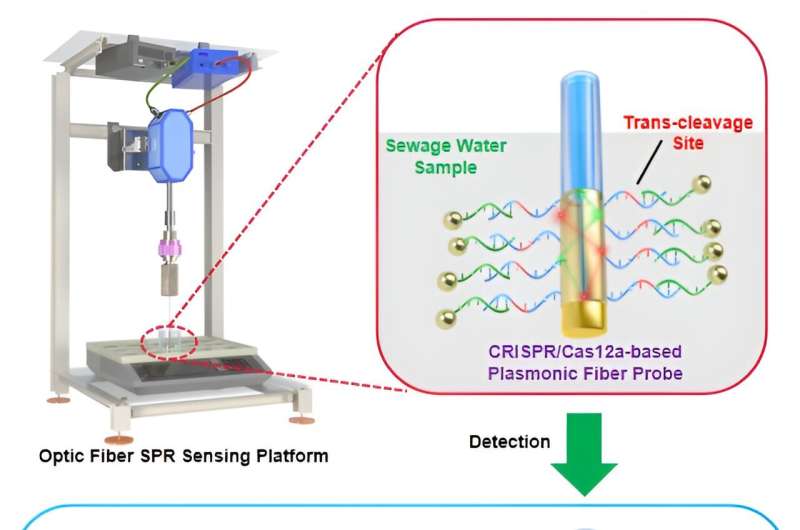Early and sensitive detection of pathogens for public health and biosafety: an example of surveillance and genotyping of SARS-CoV-2 in sewage water by Cas12a-facilitated portable plasmonic biosensor