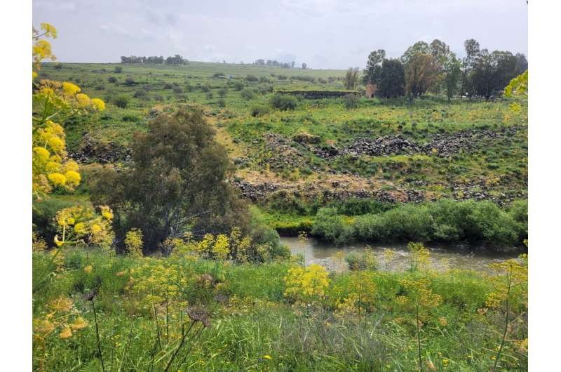 Early humans in the Hula Valley invested in systematic procurement of raw materials hundreds of thousands of years ago – much ea