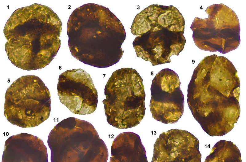 Early land plant microfossils from the lower Silurian of southern Xinjiang, China