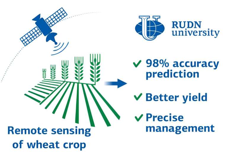 Ecologists show how to predict the wheat yield with 98% accuracy via satellite imagery