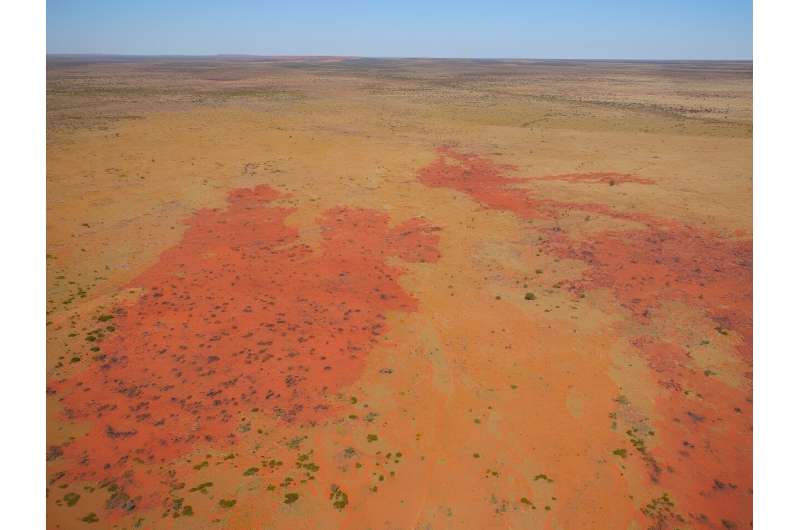 'Ecology on steroids': how Australia's First Nations managed Australia's ecosystems