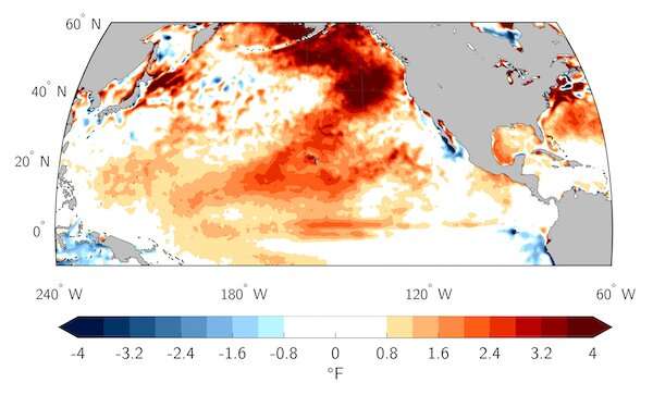 El Niño is coming, and ocean temps are already at record highs—that can spell disaster for fish and corals