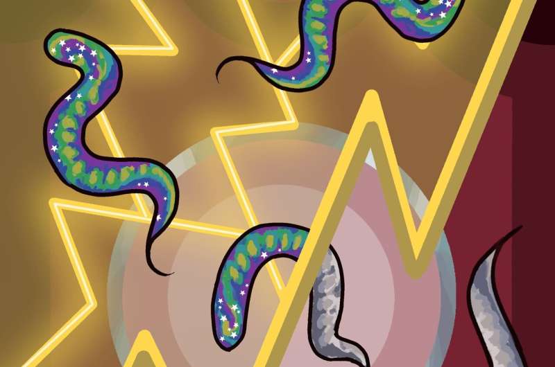 Electric shock revealed that worms may have &quot;emotions&quot;