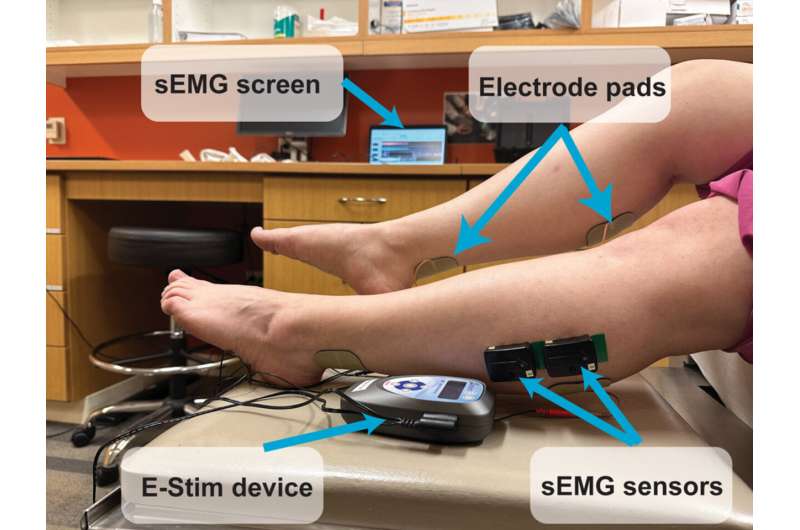 Electrical stimulation revitalizes muscle perfusion caused by long COVID