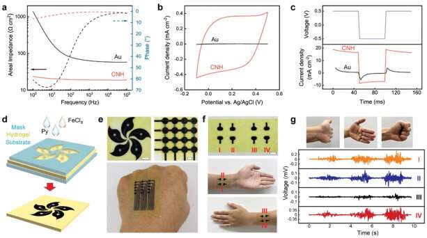 Engineers develop electroconductive hydrogel for biomedical applications