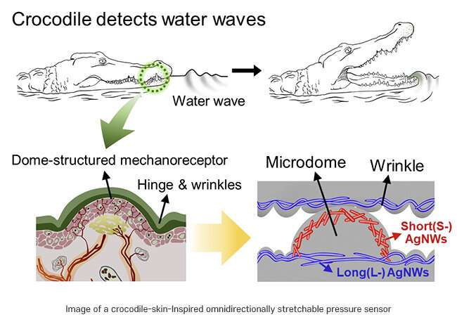 Electronic skin as flexible as crocodile skin