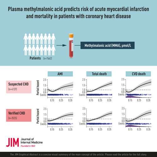 Elevated plasma methylmalonic acid is related to increased cardiovascular events
